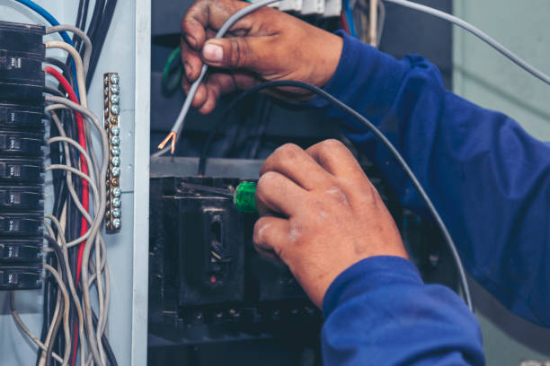 Best Ceiling Fan Installation Electrician  in Millbrook, AL